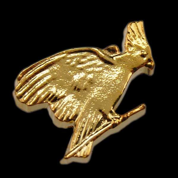 Golden Parrot Pin