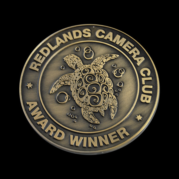 Redlands Award Ant Brass