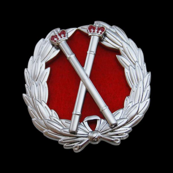 Stick Crown Red Symbol Pin