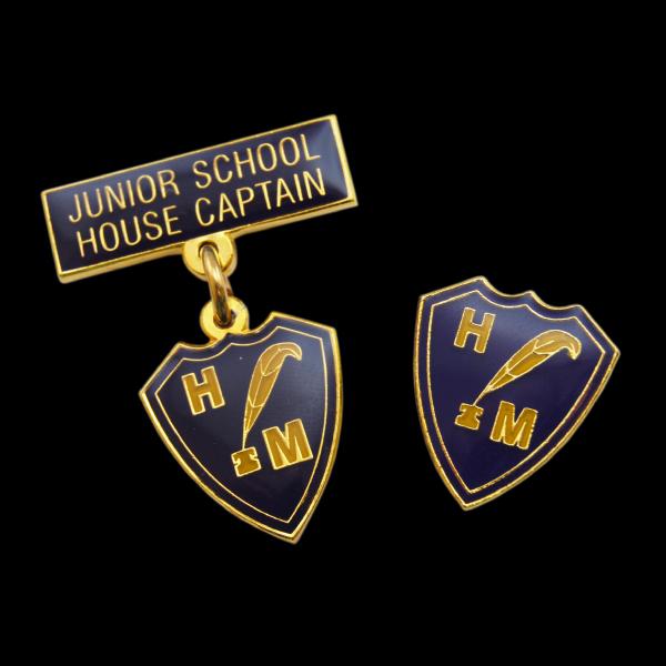 Junior School House Pin